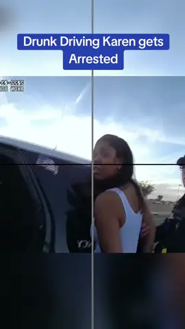 Drunk Driving Karen gets Arrested#cops #copsoftiktok 