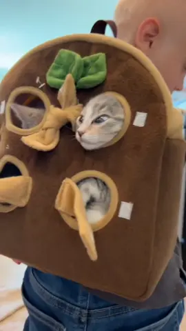 Every kid deserves a cat to grow up with.#usa_tiktok #fouryou #funnyvideos #fyp #tiktok #funny #baby #cat #catsoftiktok 