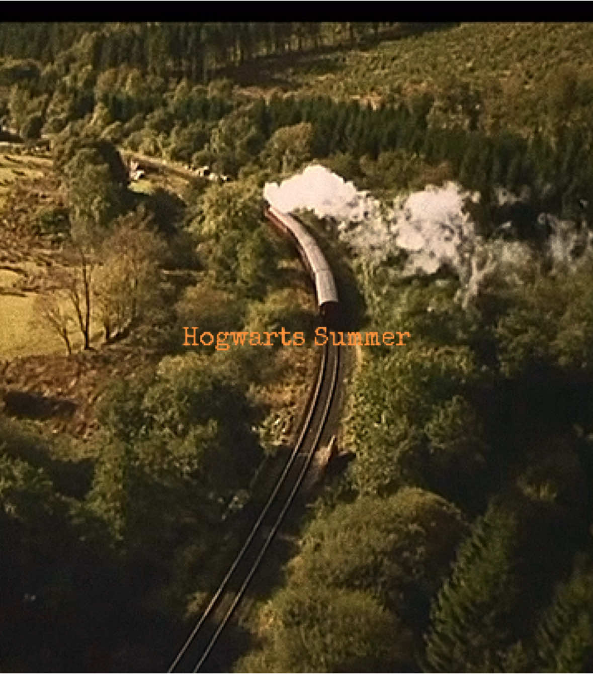 The summers of 1991–1998.               #harrypotter #summeraesthetic #summervibes #hogwarts #thisisthelife #amymcdonald 