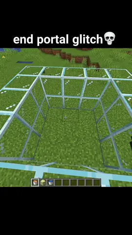 End Portal Glitch Moment  #Minecraft