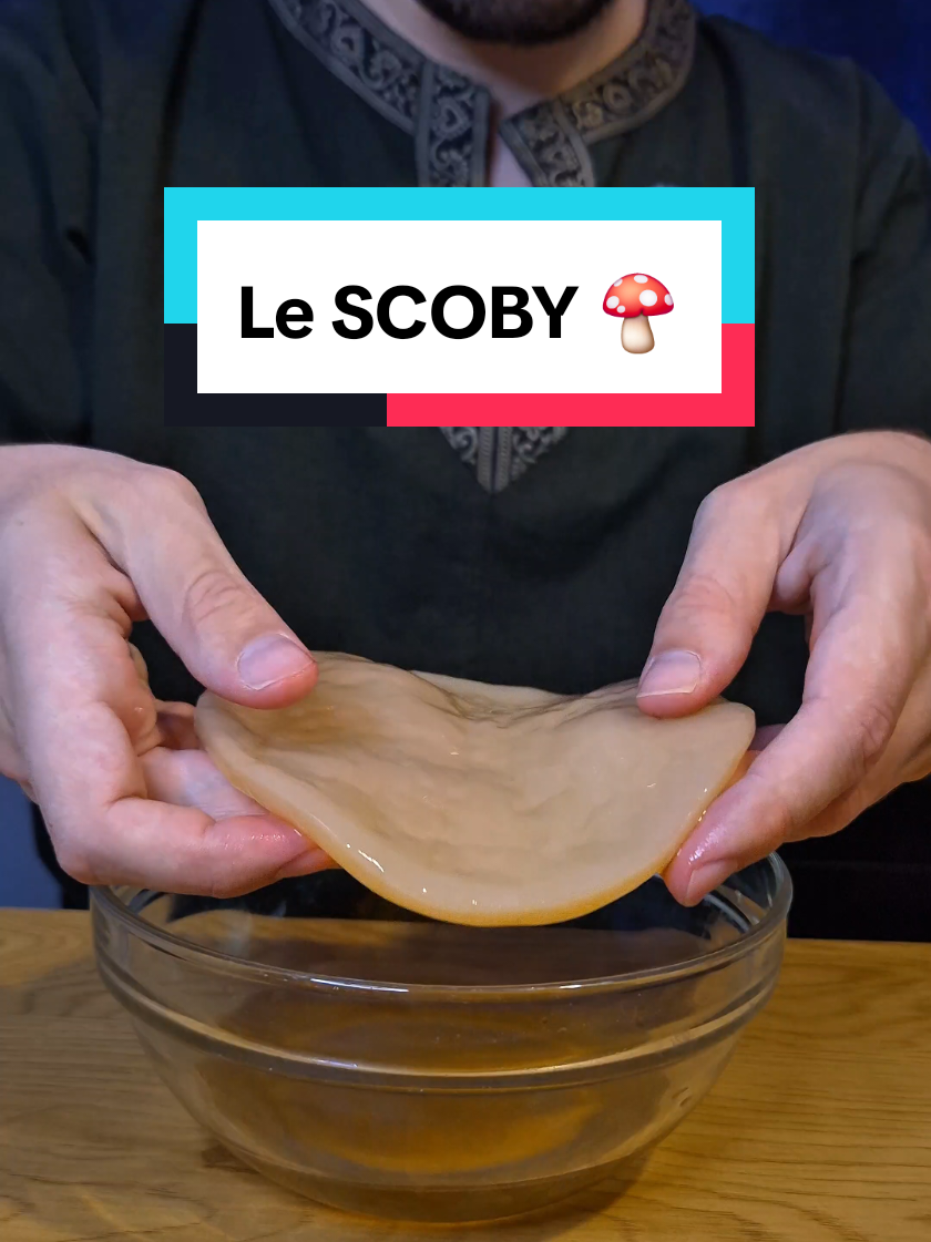 Ça donne envie pas vrai ? 😁 En plus d’etre assez marrant à faire, c’est vachement bénéfique pour la santé.  Pas mal de producteurs en France ont des productions de qualité et super créatives si vous avez la flemme de le faire chez vous ! 😀 #kombucha  #naturel  #scoby  #fermentation 