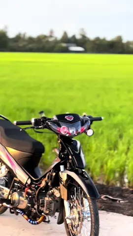 Xe niềm tây chỉ có dị hoyy #uocduoclenxuhuong #xuhuong #sỉuisđộkiêng 