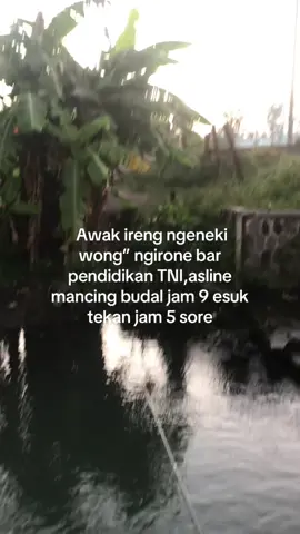 Hitam seperti kedelai pilihan #mancingmania #mancing #microfishingindonesia #mancingmaniajogjakarta #waderanjogja #sragen24jam 