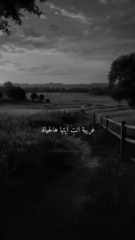 #خواطر #اقتباسات #اقوال #حكم  #كلمات #من #ذهب #عبارات #تيكتوك #العرب #تحفيز  #لايك__explore___  #explore #fypシ   