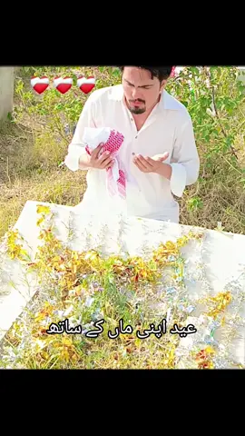 #rajaatifpervaizja @Raja Pervaiz 