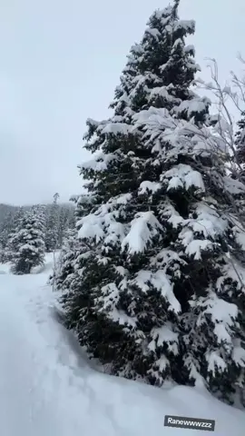 @dinararwr.. done yaa yang mintakk mentahan nyaaa#familyRoger#keluargaRoger#RogerjrRogerdanpapinya #Rogerdanmamanya #miamiu13 #fyppppppppppppppppppppppp #masukberanda 