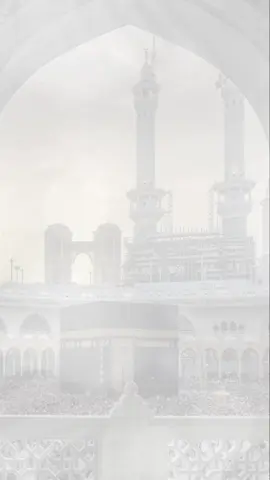 تهنئة برجوع الحجاج حلالكم #استقبال_الحجاج #رجوع_الحجاج_من_بيت_الله #تهنئة