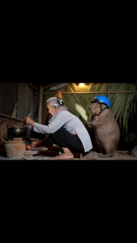 Capy phụ bà nấu cơm tối… #capybara #veo3 #fyp #xuhuong #trending #bavacapybara 