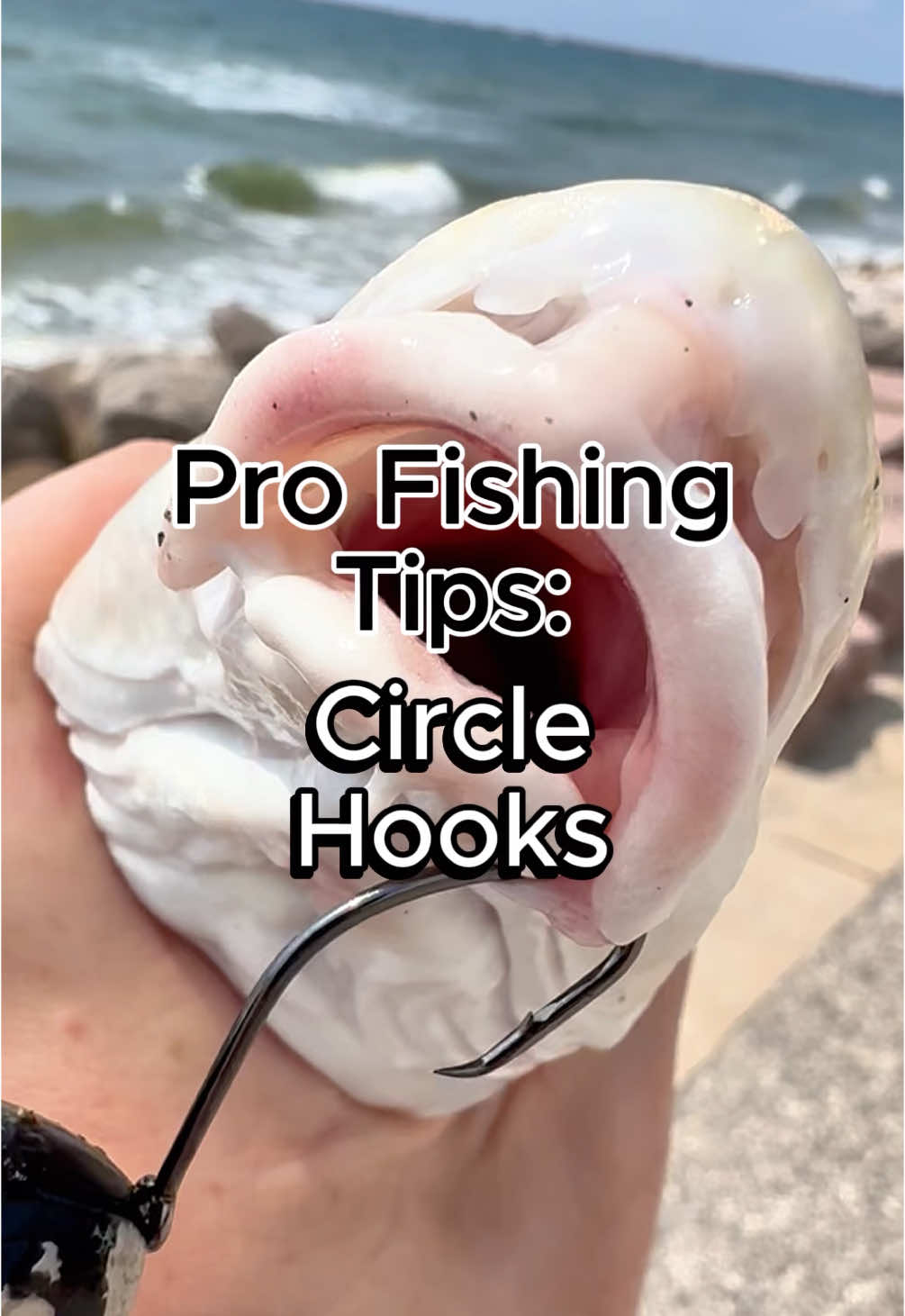 3 tips and tricks for live bait and cut bait fishing with circle hooks for catfish, redfish, sharks, and more. #fishing #fishingtips #surffishing #circlehooks #catfish 