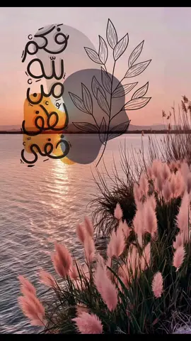 #الحمدلله_دائماً_وابداً 