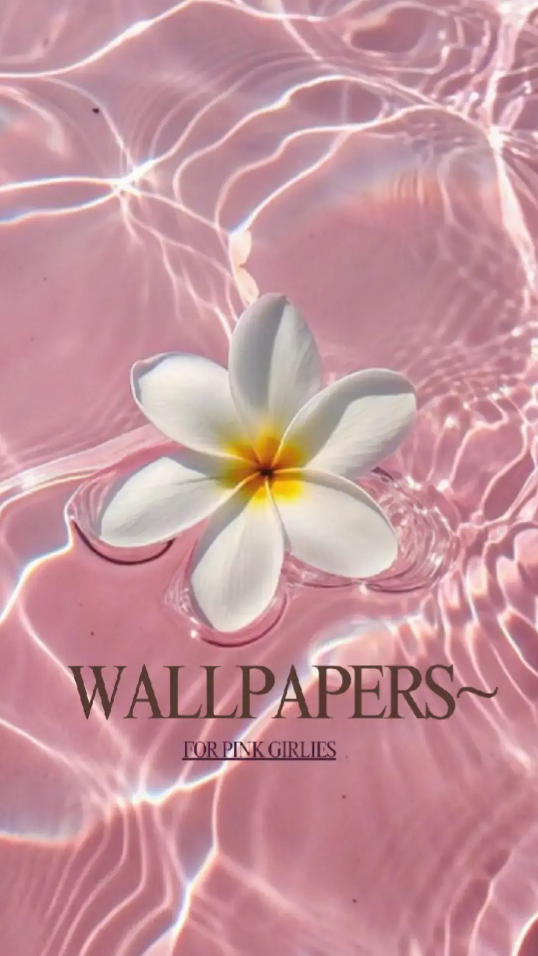 #fyp #aestheticwallpapers 🌷🌸🩷