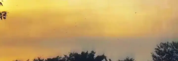 #whatsappstatus #missyou #viralvideo #tamilvideo #1m #fypシ゚viral🖤tiktok☆♡🦋myvideo #fypシ゚viral🖤tiktok☆♡🦋myvideo #fypシ゚viral🖤tiktok☆♡🦋myvideo #fypシ゚viral🖤tiktok☆♡🦋myvideo #シ゚viral🖤tiktok☆♡🦋myvideo #fypシ゚ 