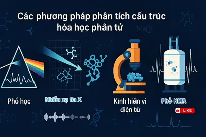 Để biết chính xác cấu trúc phân tử của các phân tử sinh học phức tạp như glucose, ADN (DNA), ribosome, insulin, hemoglobin, người ta sử dụng các phương pháp phân tích cấu trúc hóa học và sinh học phân tử kết hợp nhiều kỹ thuật hiện đại. Video này trình bày sơ lược các phương pháp chủ yếu và lý do tại sao các phân tử đó được xác định cấu trúc chính xác bằng các phương pháp đó. #nmr #electronmicroscopy #xrd  #spectroscopy #phổhọc