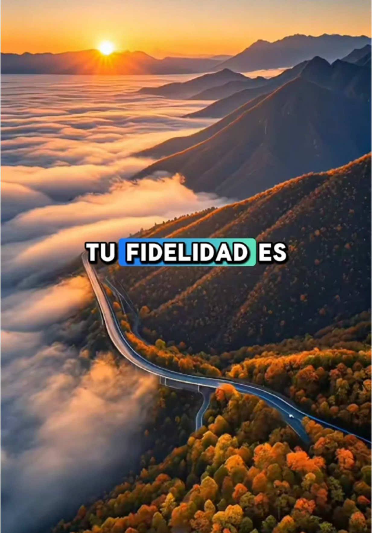 Tu Fidelidad - Marcos Witt #parati #diosesamor #diosesamoryfortaleza #tufidelidad #tufidelidadesgrande #marcoswitt #alabanza #alabnzas #alabanzas_cristianas #jesus #letras #letrasdealabanzas #fyp #fe #faith #tueresrey 