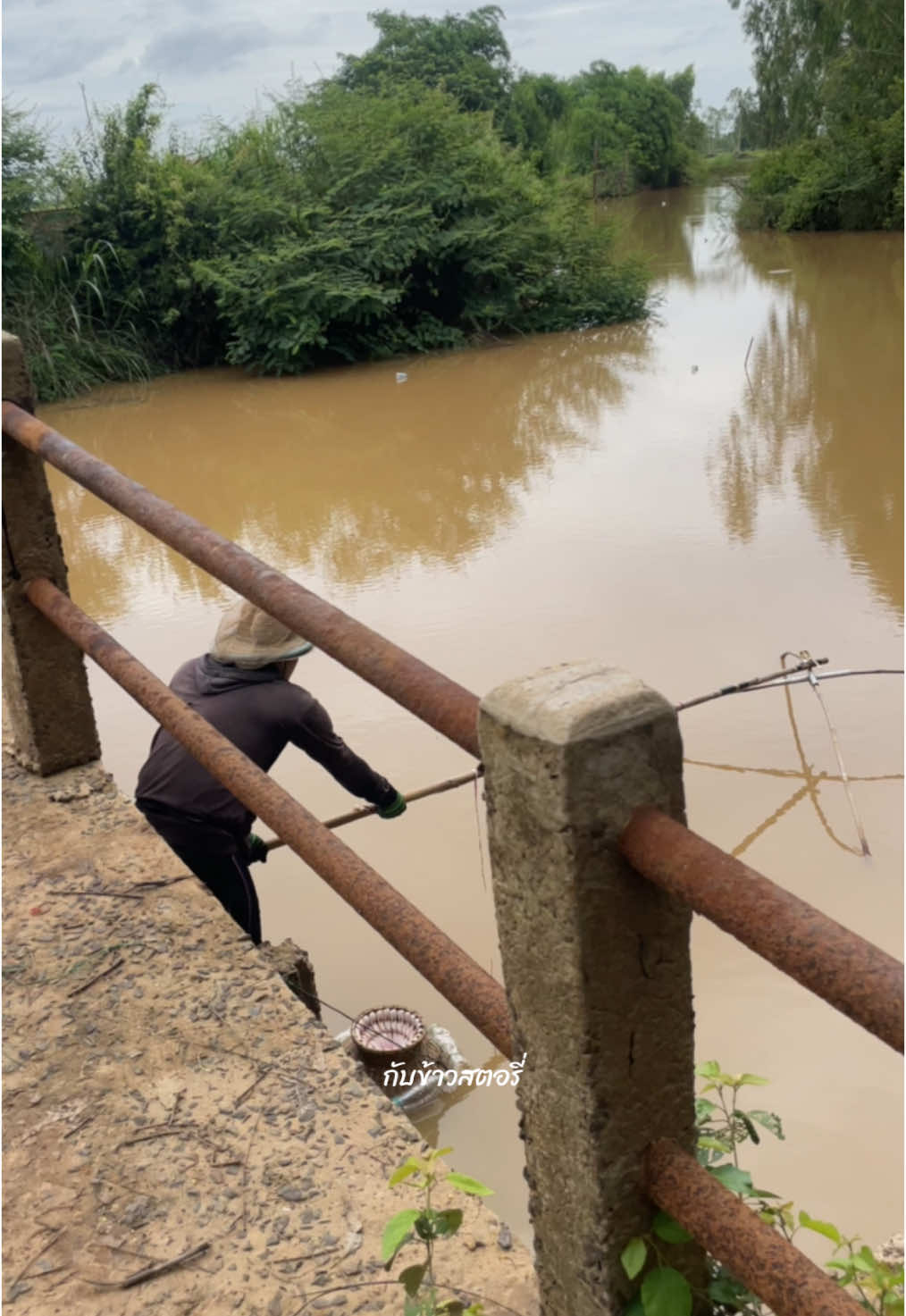 🐟🎣❤️ #วิถีชาวบ้านคนบ้านๆ #วิถีชาวบ้าน #วิถีชีวิตบ้านนอก #villagelife #countryside 