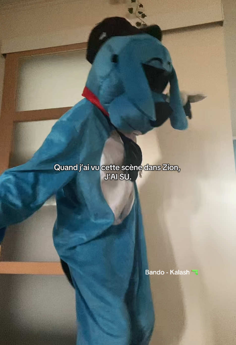 je savais que ce serait fort #zion #pointeapitre 