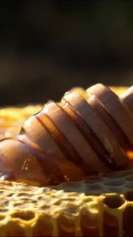 The Most Satisfying Honey Drip Video | ASMR Sticky Sounds Get ready to be mesmerized by the satisfying sight and sound of pure, golden honey. This video features an extreme close-up of thick, amber honey slowly dripping from a wooden dipper just pulled from a natural honeycomb. This visual ASMR experience is designed to calm your mind, relieve stress, and give you deep, tingly satisfaction. Perfect for anyone who loves satisfying videos and relaxing sounds. Don't forget to subscribe for more satisfying ASMR content! #ASMR #honey #satisfying #oddlysatisfying