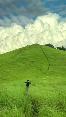 #nature #fyp 