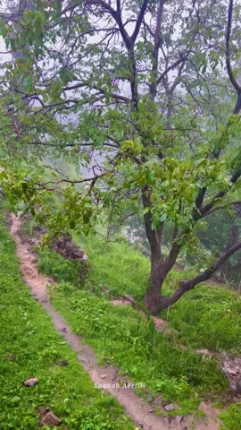 Tirah valley Maidan rain view ⛰️ 🌧️ 