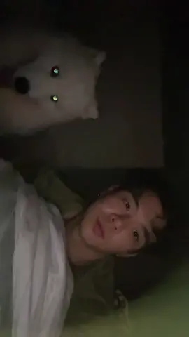 👅#dogsoftiktok #fyp #viral #sgtiktok #dogs 