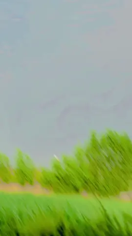 ##foryou #fayyyyyyy#foryou #foryoupage @𝘚𝘶𝘧𝘺𝘢𝘯 🐺 @Sanankhn999 