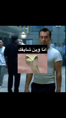 محمد باق ☝️🔥 #fyp #foryoupage #foryou #tbag #محمد_شايف #بريزون_بريك 