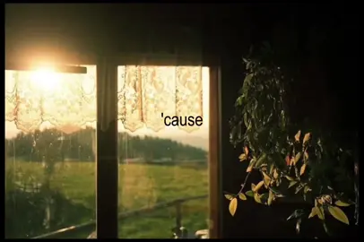 this is an old one and the timing is off loll #onedirection #fourdeluxe #readytorunonedirection #1D #song #lyrics #nature #album 