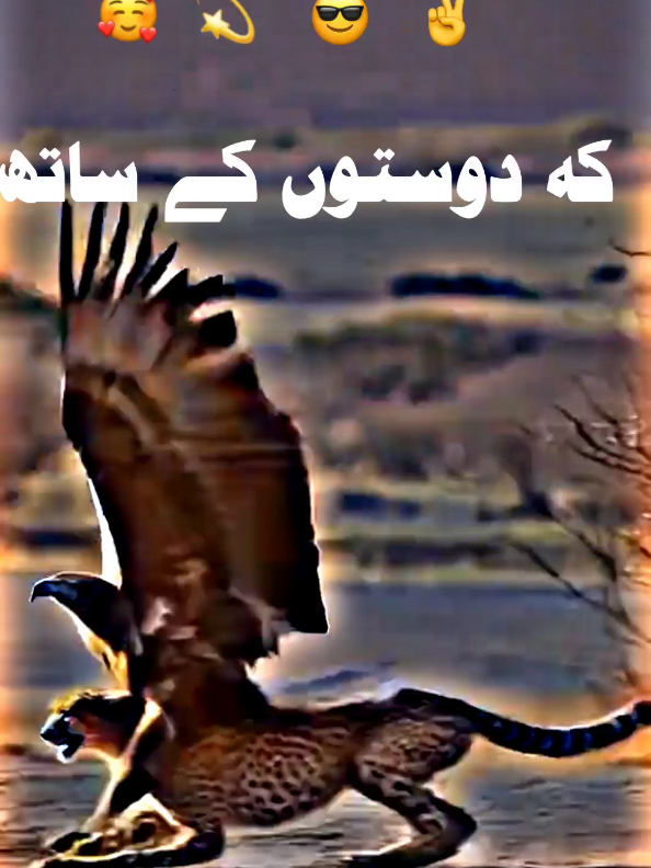 #foryoupage #🖇️✨🥀💔 #standwithkashmir #fyp #a Urdu poetry #500k#poetrystatus #viralmyvideoplztiktok #whatsappstatus #goviral#NotYourAffan#500k 