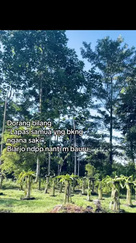 #fyppppppppppppppppppppppp #swgalau #manado 