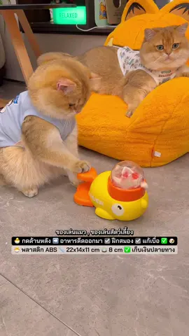 🐣 #ของเล่นสัตว์เลี้ยงรูปเป็ด #เครื่องให้อาหารรูปเป็ด 🐣 ของเล่นให้อาหารสัตว์เลี้ยงอัตโนมัติรูปเป็ดน้อยสีเหลือง 🐣 กดลงไปที่ของเล่น ➡️ ขนม/อาหารจะถูกดีดออกมา ✅ ฝึกสมองและพฤติกรรม (เรียนรู้การกดเพื่อให้ได้อาหาร) ✅ ลดความเบื่อและความเครียด ✅ ปลอดภัย ไม่ต้องใช้แบตเตอรี่หรือไฟฟ้า ✅ ดีไซน์น่ารัก วางตรงไหนก็น่าเอ็นดู ✅ เหมาะกับทั้งสุนัข, แมว และ เด็ก (ช่วยให้เด็กมีปฏิสัมพันธ์กับสัตว์เลี้ยง) 🐣 วัสดุ พลาสติก ABS 🐣 🍵 ขนาดถ้วย เส้นผ่านศูนย์กลาง 8 cm 📏 ขนาดสินค้า 22 cm x 14 cm x 11 cm #ของเล่นแมว #ของเล่นสัตว์เลี้ยง #เครื่องให้อาหารแมว #ที่ให้อาหารแมว #เล่นกับแมว 💕 @สัตว์เลี้ยง แสนรัก 💕  @สัตว์เลี้ยง แสนรัก 💕  @สัตว์เลี้ยง แสนรัก 💕 