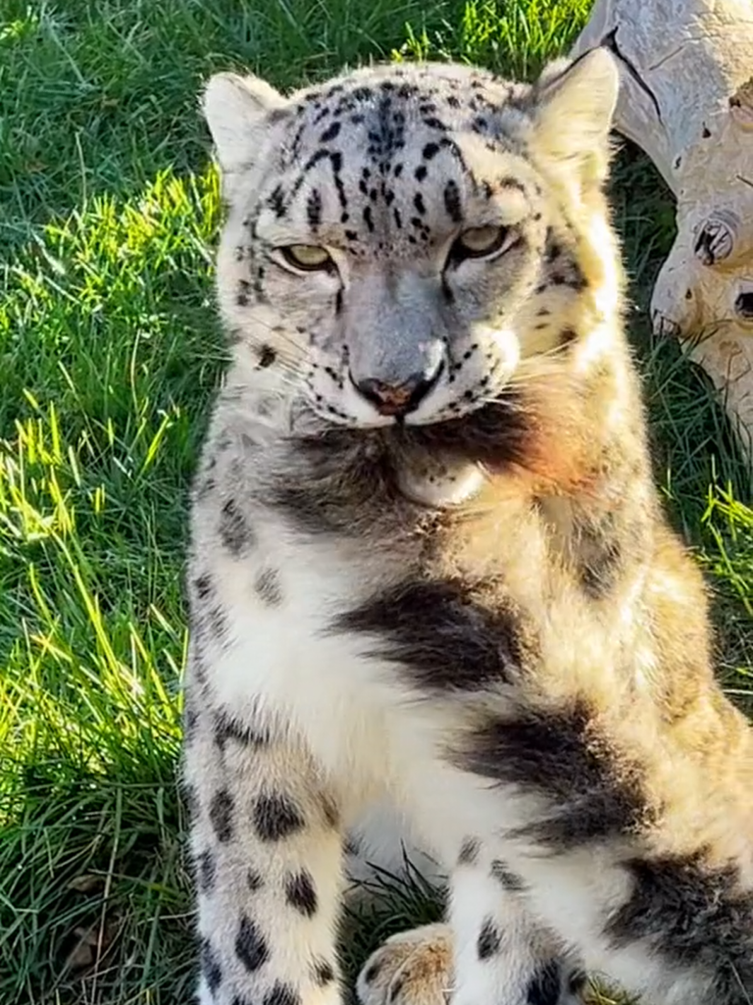 Mon envie d'en avoir un 📈😩