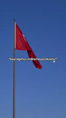 #vatansevdalısı #bayrak #turk #receptayyiperdogan #millet #kesfet #fyp #kesfetbeniöneçıkart #kesfetteyiz #rterdoğan #vatan 