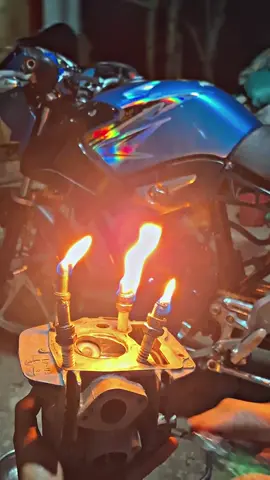 hbd to mee.🎂#doyokgank #tigerdoyok #tigergank #fyp #ulangtahun #padahariini #beranda #berandatiktok #belitang24jam 