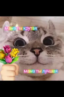 @renatakirjacek #мама #лучшая 