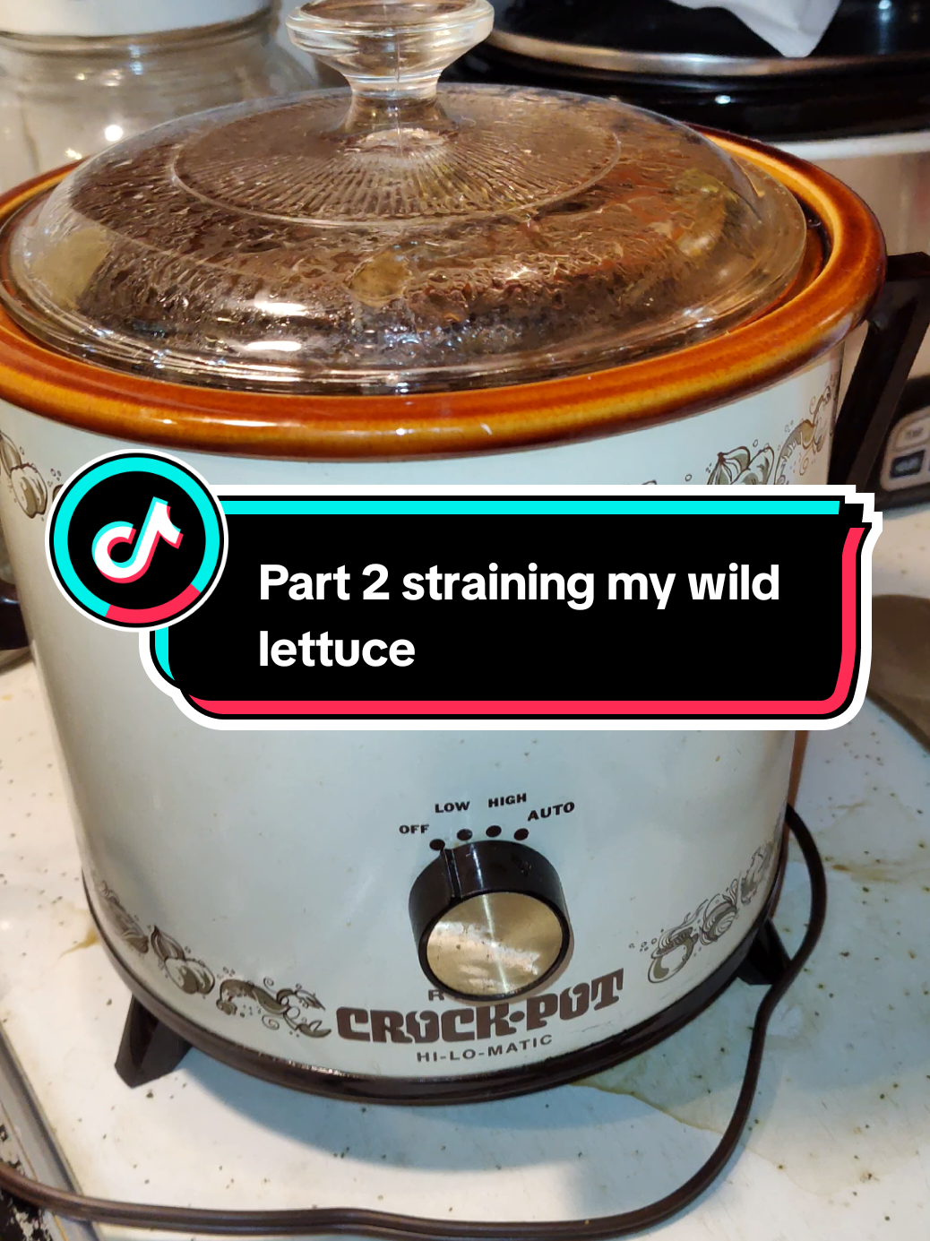 After I've cooked my wild lettuce on low for 24 hours, I strain it and put it back into the crockpot. Then I cook the water off. #part2 #wildlettuce #wildlettuceresin #herbalnurse #Holistichealth #hetbgarden 
