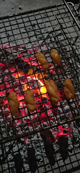 You will regret this!  #boshuys #bushlapabaobab #campfiresafarisoverlandadventures #metuysh #isuzudmax45edition #overlandadventures  #wildcamping @Bush Lapa Offroad Caravans @The Bush Company 