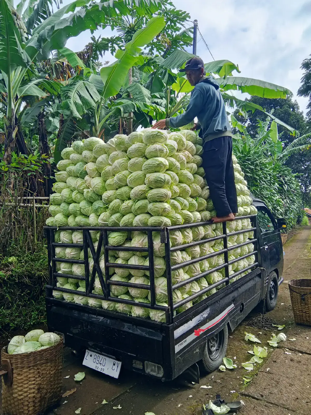 muat ok ngopi juga ok🙌 #pickup #pickupmodifikasi #pickupsayur #t120ss #sayur #sayuran #drivermuda #trendingsong #trending #brandatiktok #foryou #fyp 
