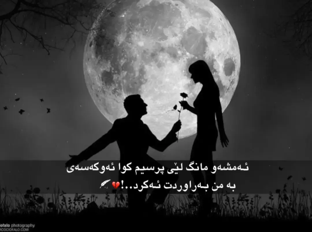 #مامەڕیشە🦅🖤 #چەمچەماڵ #گرمیان #foryou #foryou #وتەیەکی_جوان_بۆ_ئەم_ڤیدۆیە♥ 