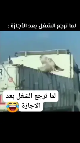 #الشغل #الشركة #الموظفين #التعليم #وزير_التربية_والتعليم #بورسعيد #بورفؤاد #المعدية #بودكاست #your_coffee ☕️ #مسخرة_ضحك_السنين #ضحك😂 #ترند_تيك_توك #funny #fyp #تك_توك #foryou #edit #explore #اكسبلور #video #tiktok #viral #الكاميرا_الخفية #كوميدي #هاشتاق #ترند 