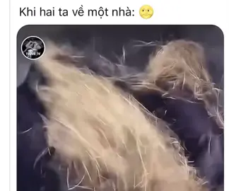 🤣🤣 câu chuyện không của riêng ai😄😄