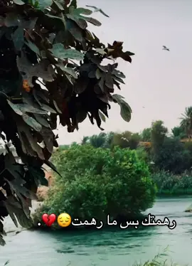 #الانستا_في_البايو #من_وين_شفت_الفيديو #ff 