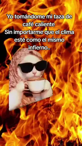 #Meme #MemeCut #CapCut Yo tomándome mi café sin importar el calorón 