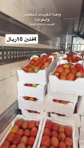 #اكسبلور #القريات_طبرجل_الجوف_تبوك #الرياض #تبوك #