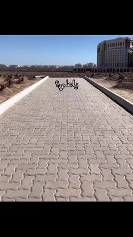 لا يسمعوا دعاءكم ولو سمعوا وهم لايملكون من قطمير 💔#اذكروا_الله_يذكركم #صلوا_على_رسول_الله 