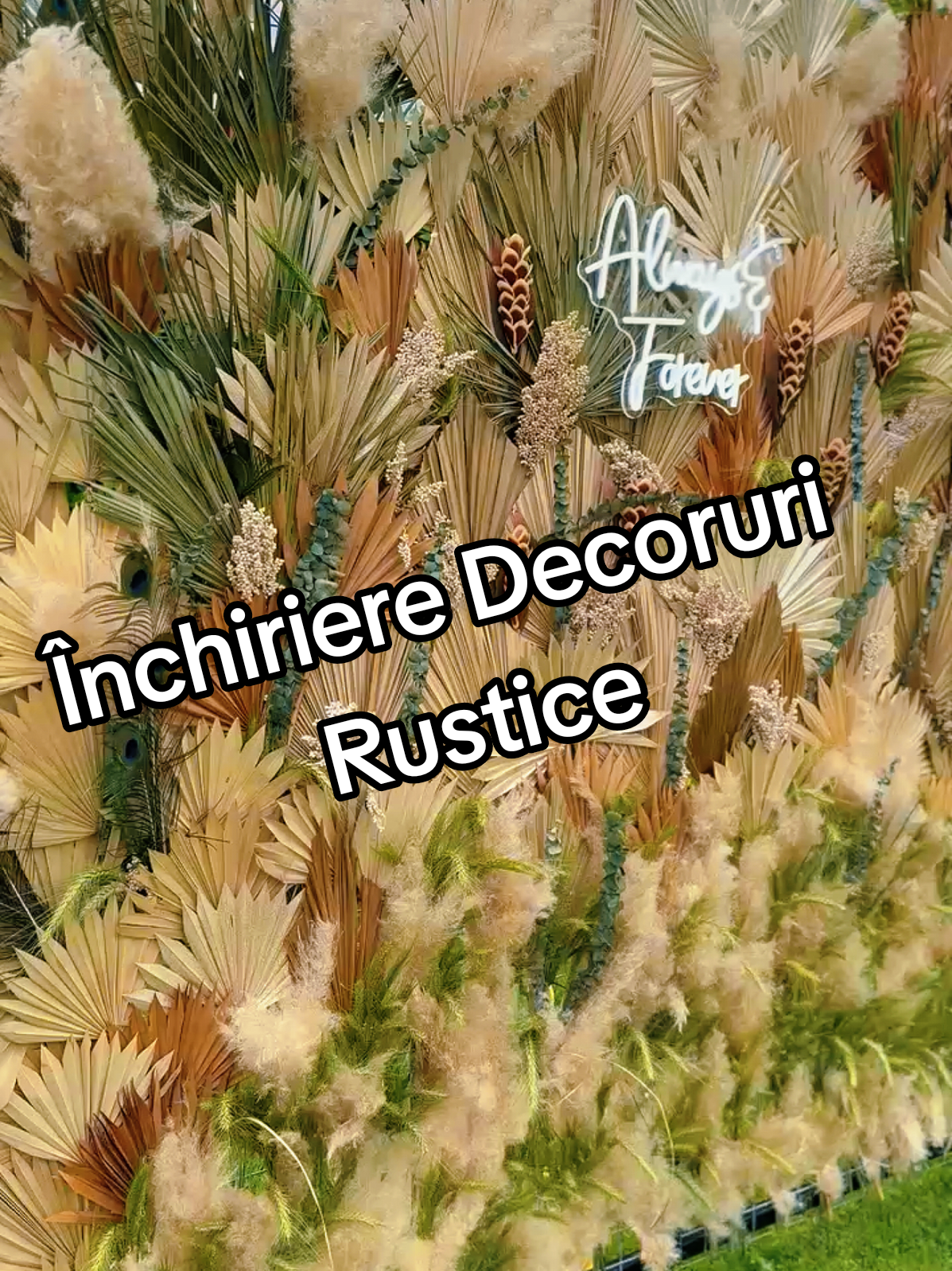 🎥✨ Bine ai venit în lumea Rustic de Poveste! Aici, fiecare decor spune o poveste... și fiecare poveste începe cu un vis. 🌾 💫 Dacă organizezi un eveniment – nuntă, botez, petrecere în aer liber – ...și vrei farmec rustic, detalii din lemn, lumânări vintage, flori uscate, lăzi vechi, macrameuri și felinare, 🎀 ai ajuns exact unde trebuie. 📦 Închiriez decorațiuni rustice pentru evenimente speciale, cu livrare și aranjare la cerere. 📍 Handmade, atent selectate, cu suflet și bun gust. 👣 Urmărește-mă pentru idei de decor, transformări spectaculoase și behind the scenes din evenimente reale. 💌 Scrie-mi pentru detalii, oferte și rezervări. 🎬 Hai să punem povestea ta în decoruri de neuitat. #EvenimenteRustice #RusticDePoveste # #TarguJiu   #Gorj   #EvenimenteTarguJiu   #NuntaTarguJiu   #DecoratiuniTarguJiu   #RusticTarguJiu   #GorjEvents   #NuntaGorj   #DecoruriGorj   #InchiriereTarguJiu #RusticDePoveste #DecoratiuniRustice #InchiriereDecoratiuni   #NuntaTarguJiu #EvenimenteTarguJiu #GorjEvents   #RusticVibes #BohoRomantic #FlorilemnsiSuflet   #TiktokRomania #FYP #PentruTine #FYP   #PentruTine   #ViralTikTok   #TiktokDecor   #EsteticaRustica   #IdeiPentruNunta   #TiktokEventPlanner #NuntaRomania   #DecorRomanesc   #EvenimenteRomania   #NuntaLaTara   #DecoruriRomanesti   #TiktokRomania   #FirmeRomania   #DecorLocal