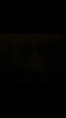 Pro campeonato @Trainer_Ghst @T҉r҉e҉i҉n҉e҉r҉c҉a҉i҉o҉z҉i҉m҉ #foryou #pokemon 