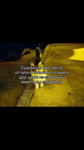 #адик #fyp #рекомендации #рек #щп #адидаспромакс 