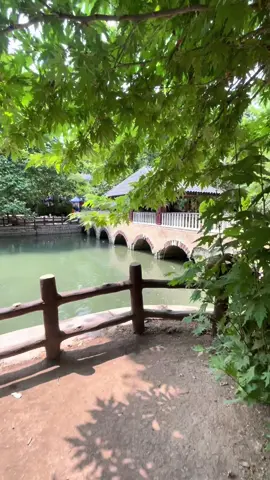 #sarchnar #💚#foryoupageofficiall❤️❤️tiktok #rasty_lak #vairal 🌹❤️#dyariqaradaxi ❤️#slemani_hawler_dhok_kerkuk_text_r 