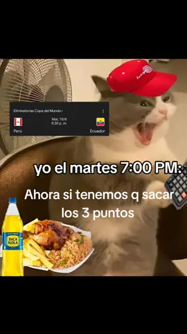 #vamosperu🇵🇪 #seleccionperuana #fypシ゚ 