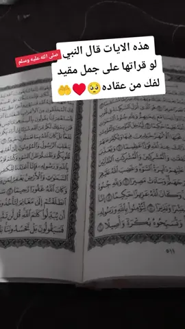 #شفاء_العجل_انشاء_الله #fyp #tiktoklive #السعودية #لايكات #لا_اله_الا_الله #توكلت_على_الله #الله_اكبر #oops_alhamdulelah #الجزاىر🇩🇿تونس🇹🇳المغرب🇲🇦ليبيا🇱🇾 #لايك__explore___ #ستغفرالله_العظيم_واتوب_اليه #القران_الكريم #ترند #fyp 